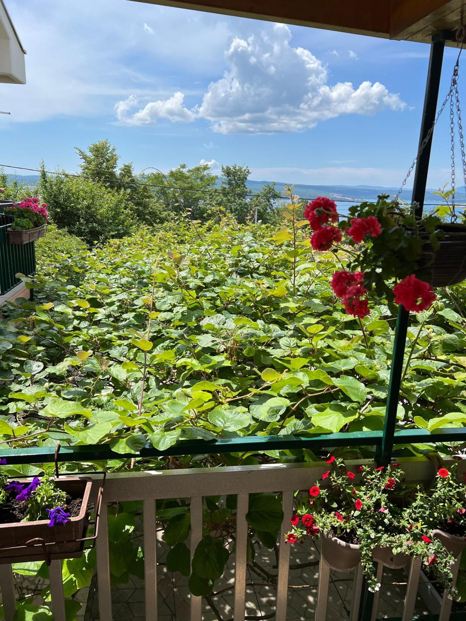 Apartman Ahmicic Crikvenica Luaran gambar